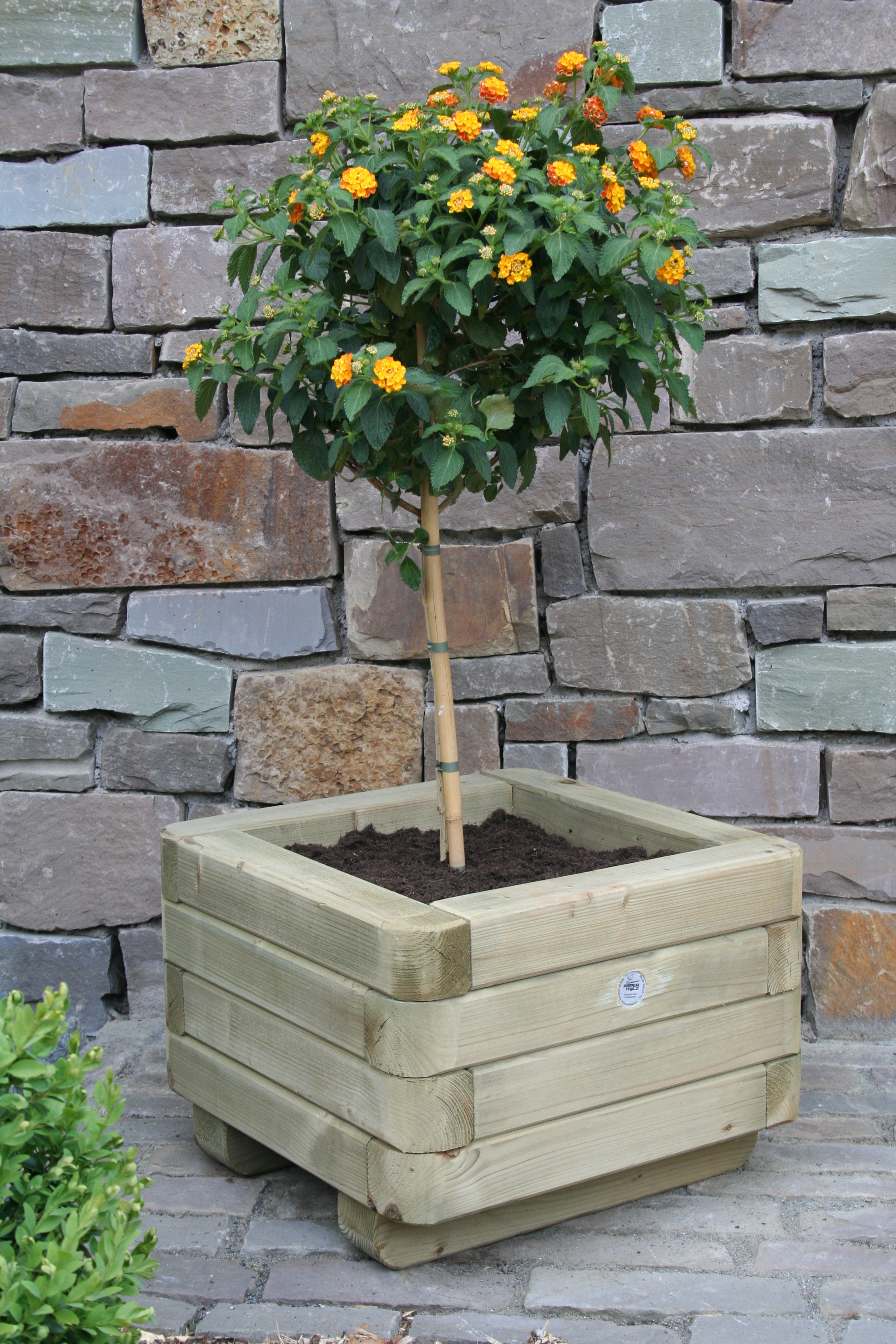 Blumenkasten Hildfeld