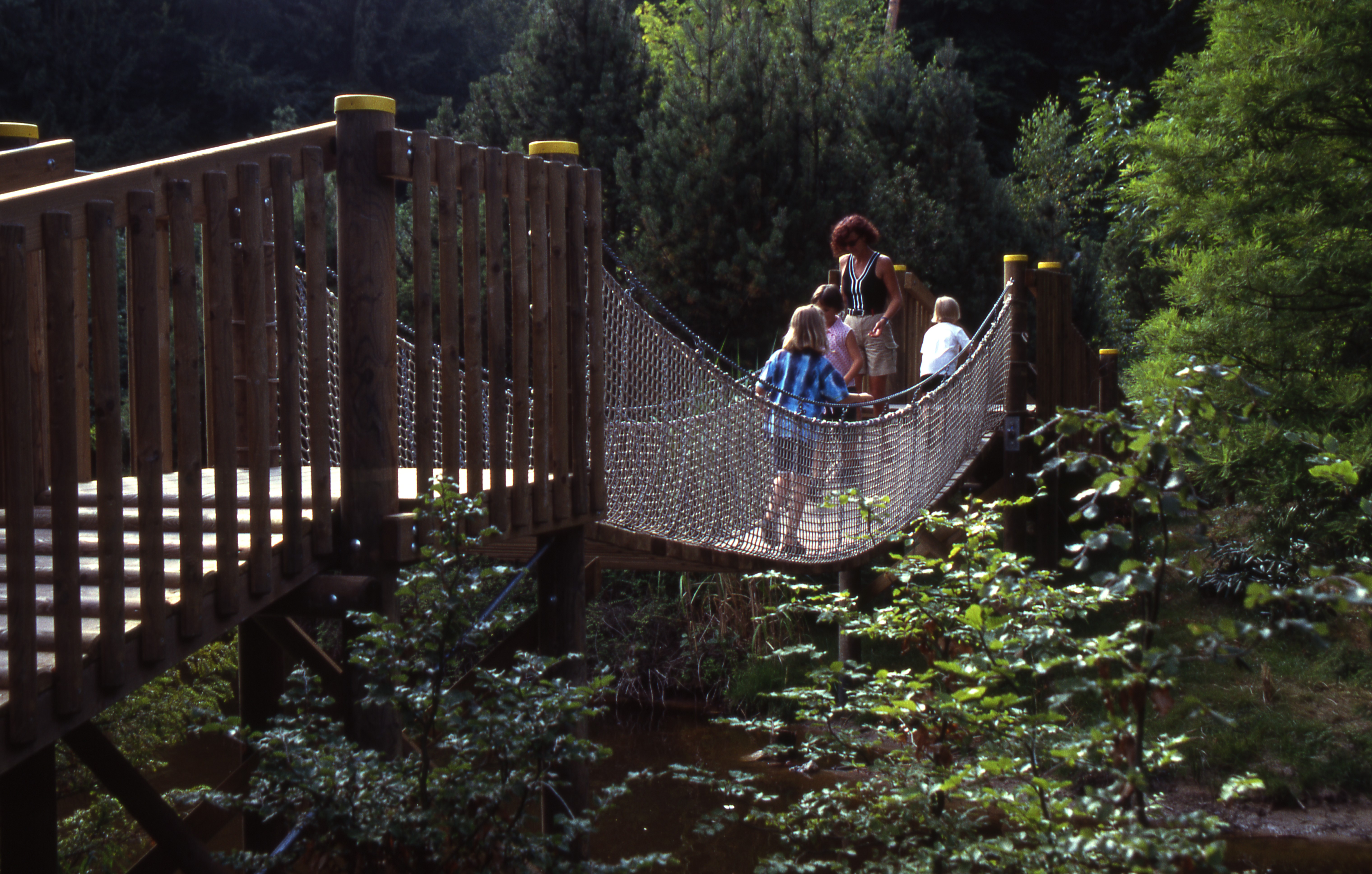 Hängebrücke Wachenheim