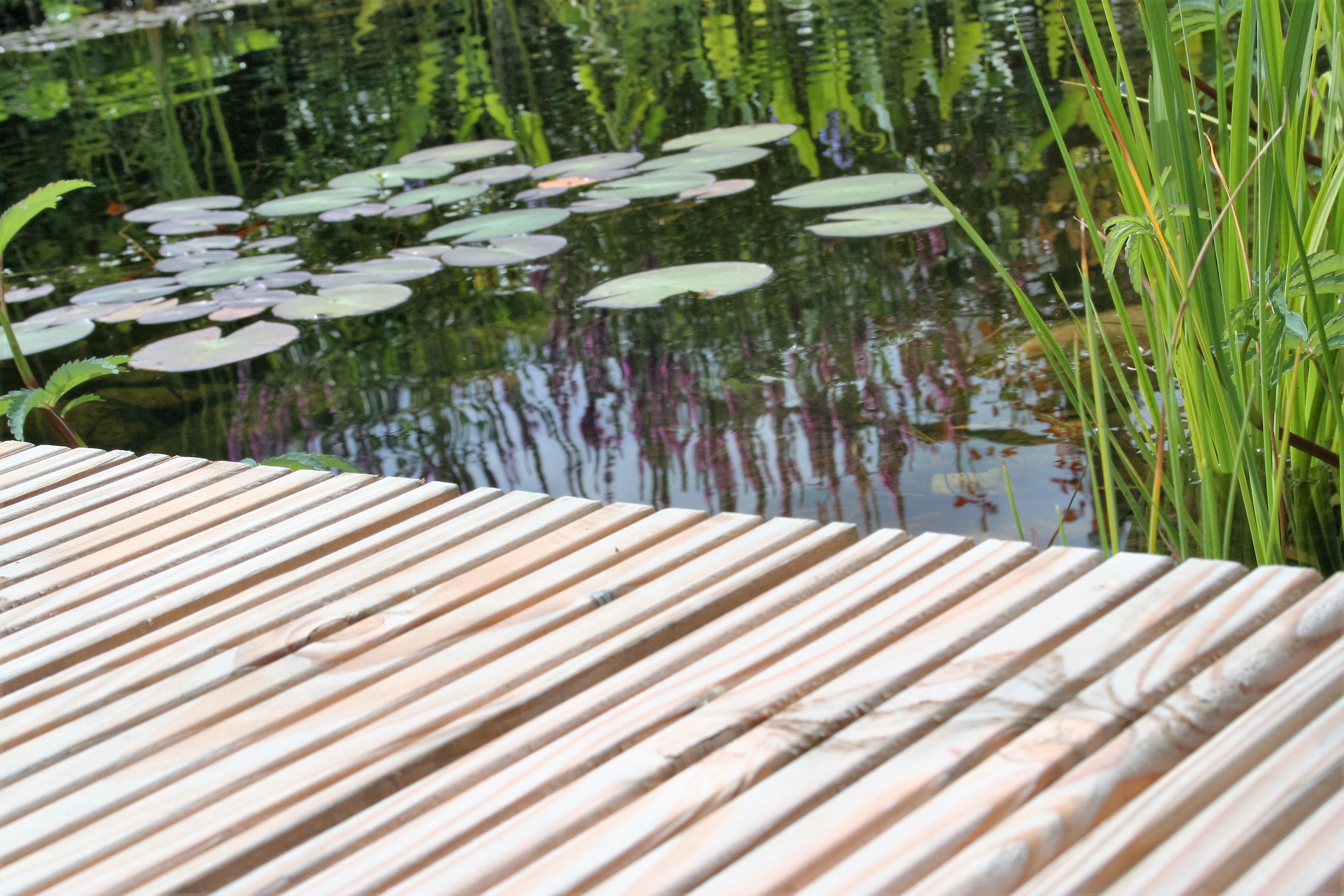 Terrassenbelag Lärche/Douglasie