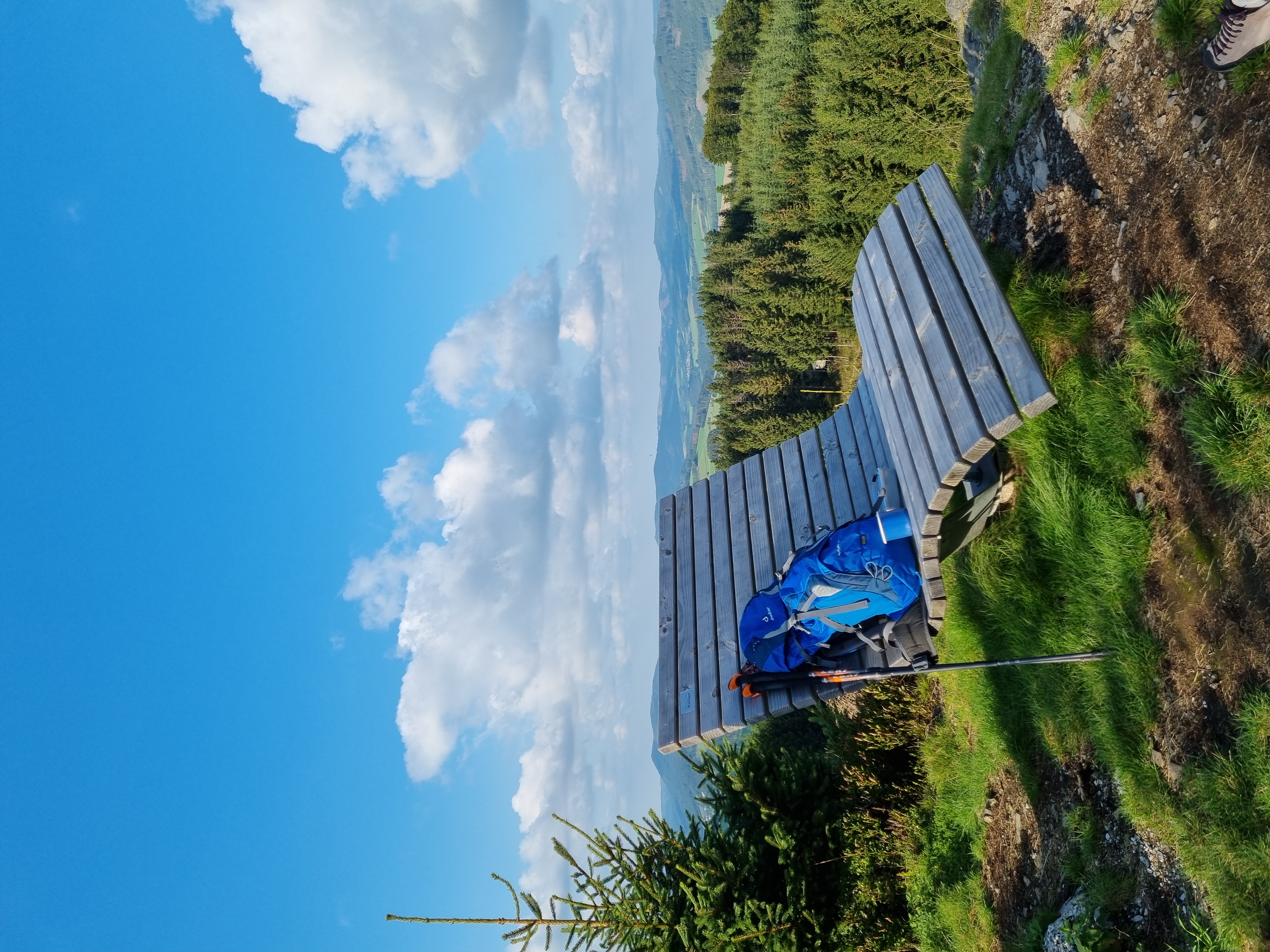 Waldsofa dreh- u. schwingbar Original Rothaarsteig Waldmöbel