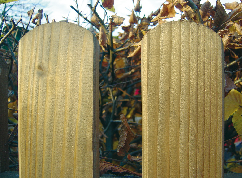 Stakettenzaunbretter Allendorf grün